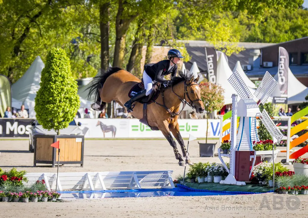 Vrolijk met eigen fokproduct Liesje Vive naar winst in 1.40m Rotterdam featured image