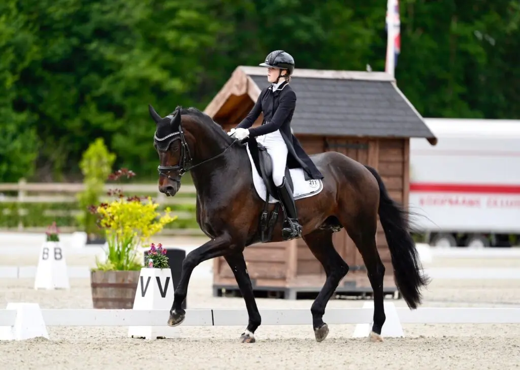 Indoor Friesland: Britt Kikkert-van der Linde met Nur Für Dich tweede bij pony’s featured image