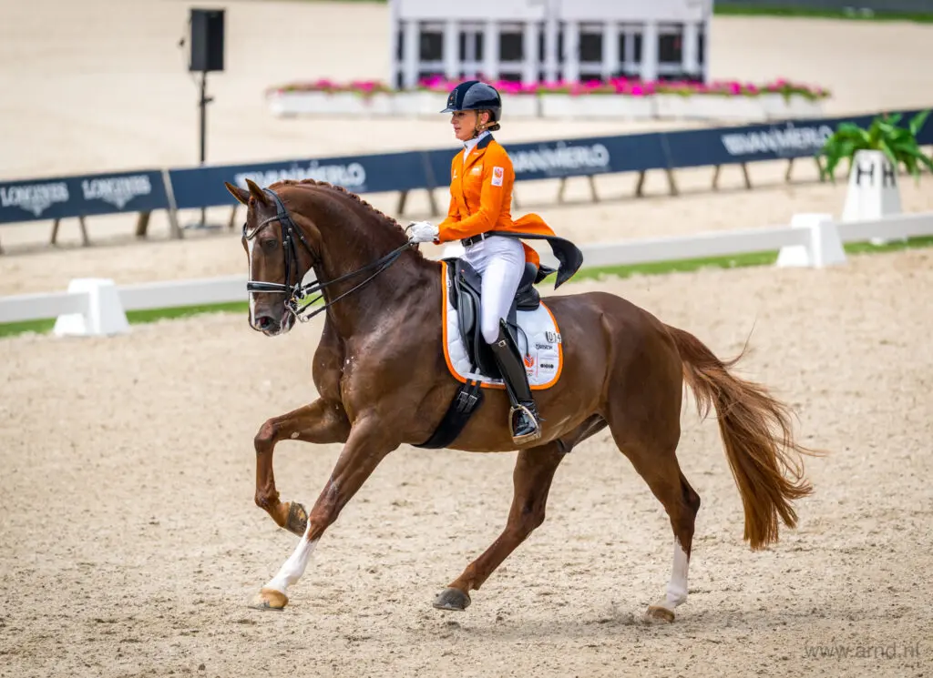 Habibi DVB geblesseerd, NK van de baan voor Marlies van Baalen featured image