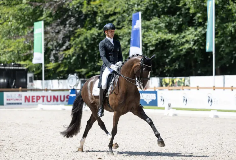Hans Peter Minderhoud wint PSG Indoor Friesland: ‘My Toto had nog nooit een indoor concours gelopen’ featured image