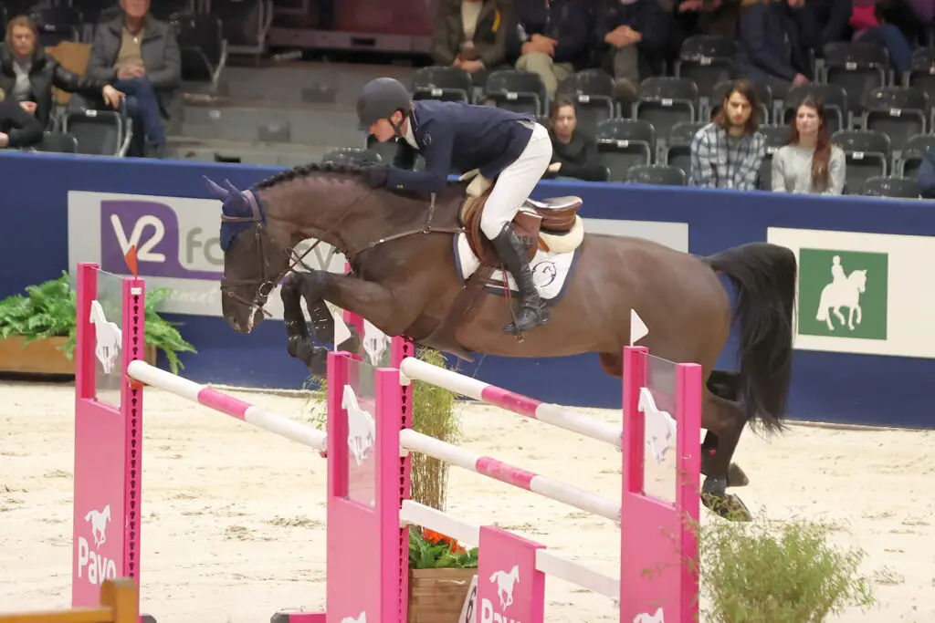 Don Tarpania Z overtuigt in de sport én fokkerij: ‘Een echte vererver’ featured image