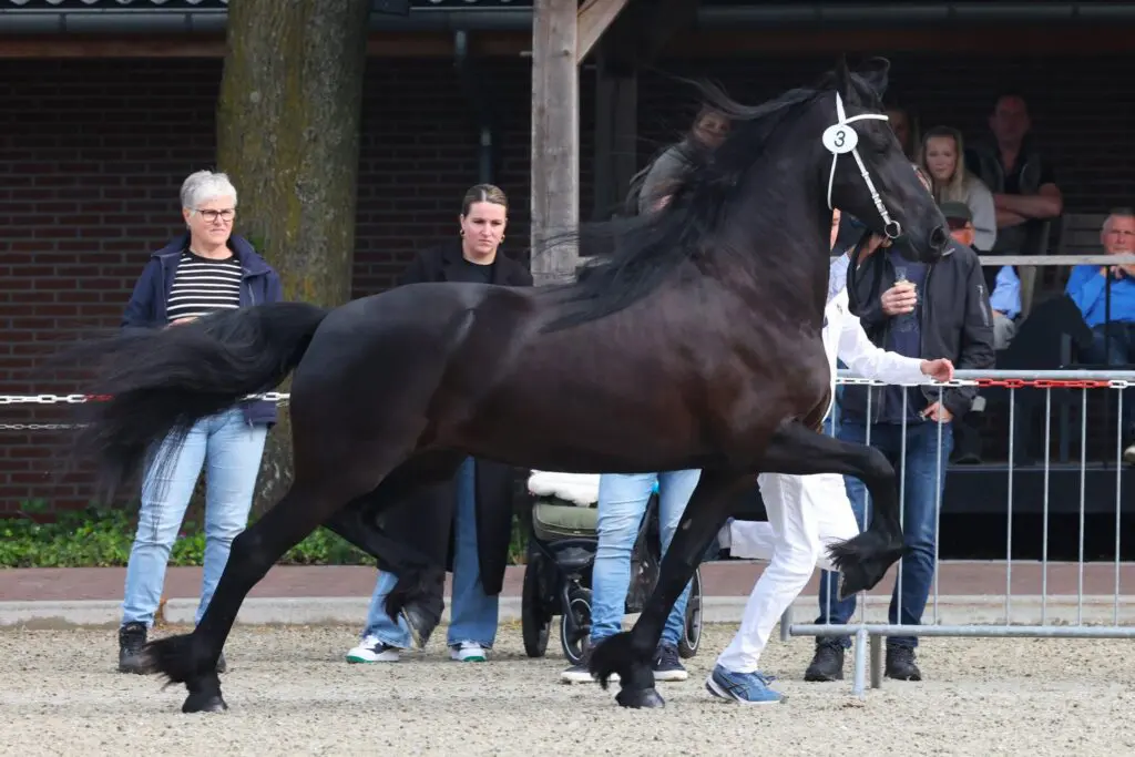 KFPS: Veertien Sterpredicaten op locatiekeuring Lunteren featured image