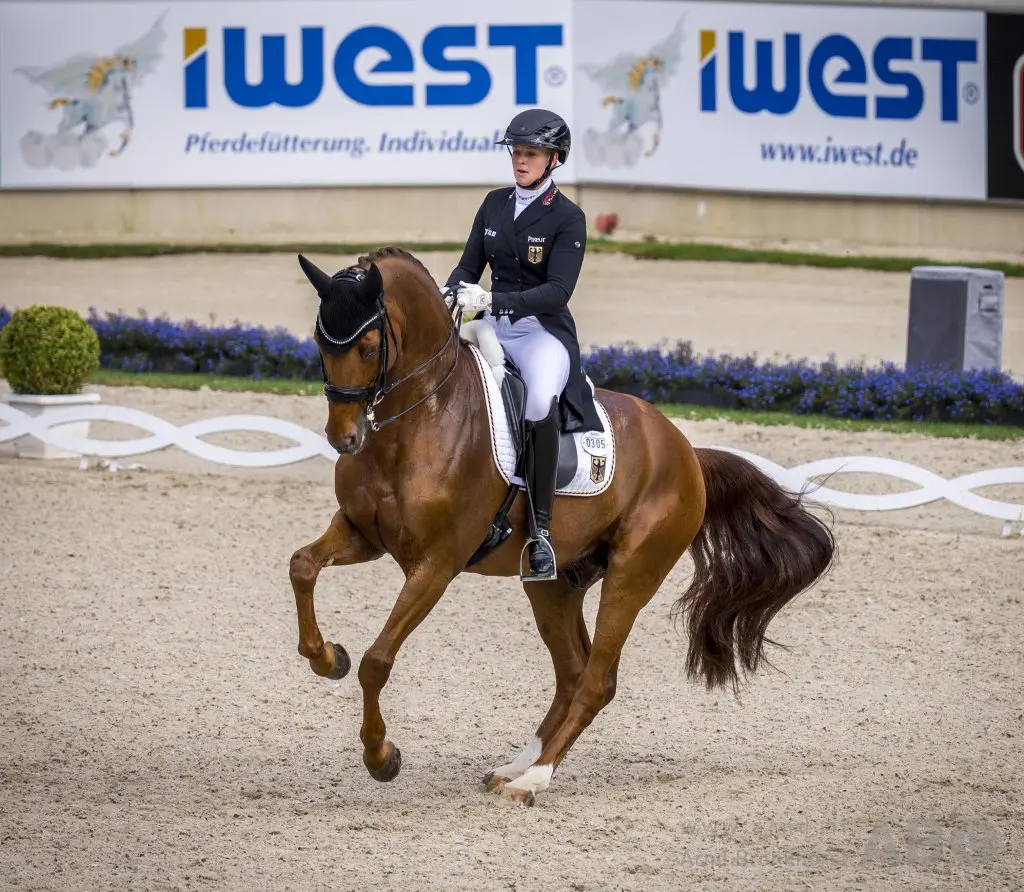 Werth, Hemmer, Wandres en Klimke naar EK Dressuur featured image