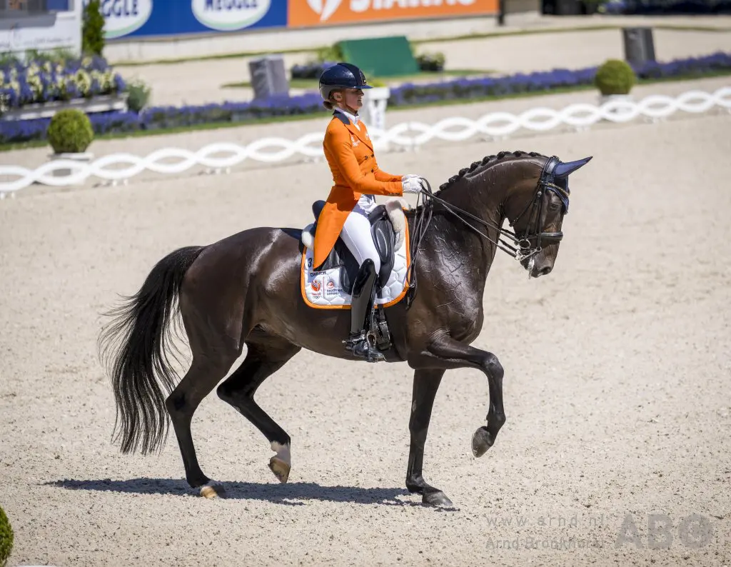 VIDEO’S: Van der Putten en Zantana RS2 naar 73,239%, TeamNL doet het goed featured image