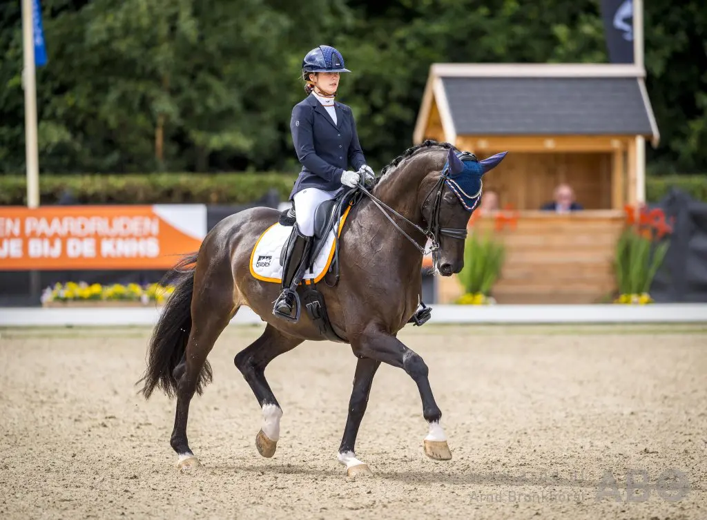 EK Paradressuur: Starttijden Para Grand Prix A bekend featured image
