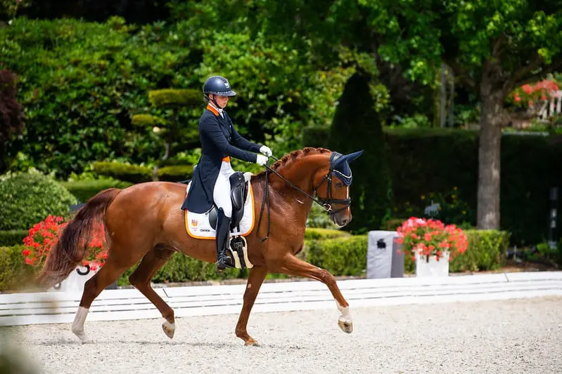 Indoor Friesland: Anniek van Dulst op hoogste trede van compleet Nederlands podium in young riders Kür featured image