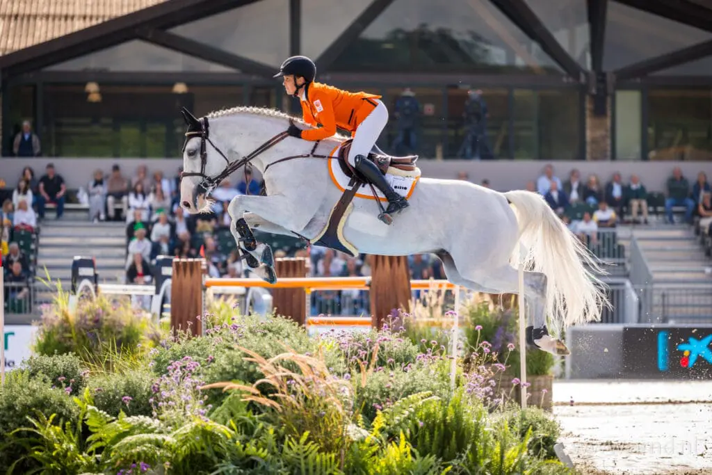 Selle Français voor derde jaar op rij aan kop WBFSH-ranking springen, KWPN derde featured image