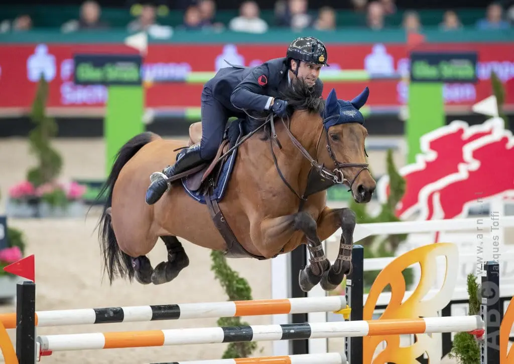 Grand Prix Sales: 120.000 euro voor gepensioneerde GP-merrie featured image