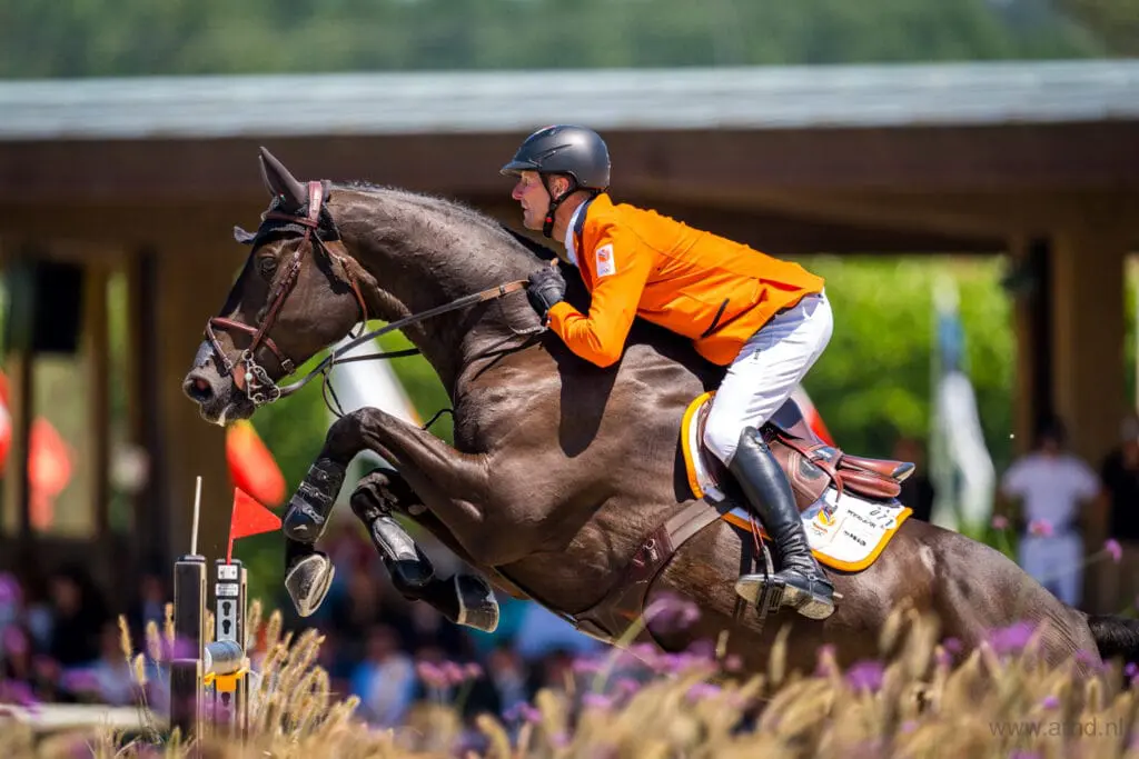 Nederlandse team LLN Ocala bekend featured image