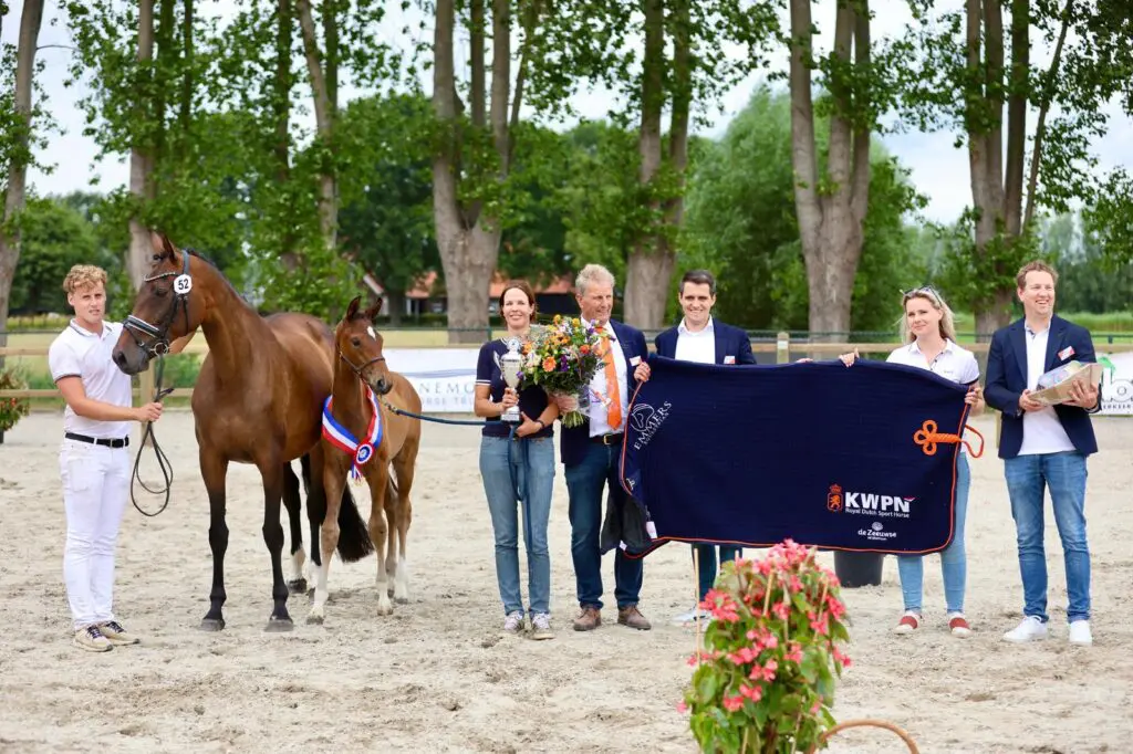 CK Maas Delta Regio 2025 dressuur: Kampioenen van One Million, Real Dream en Raven featured image