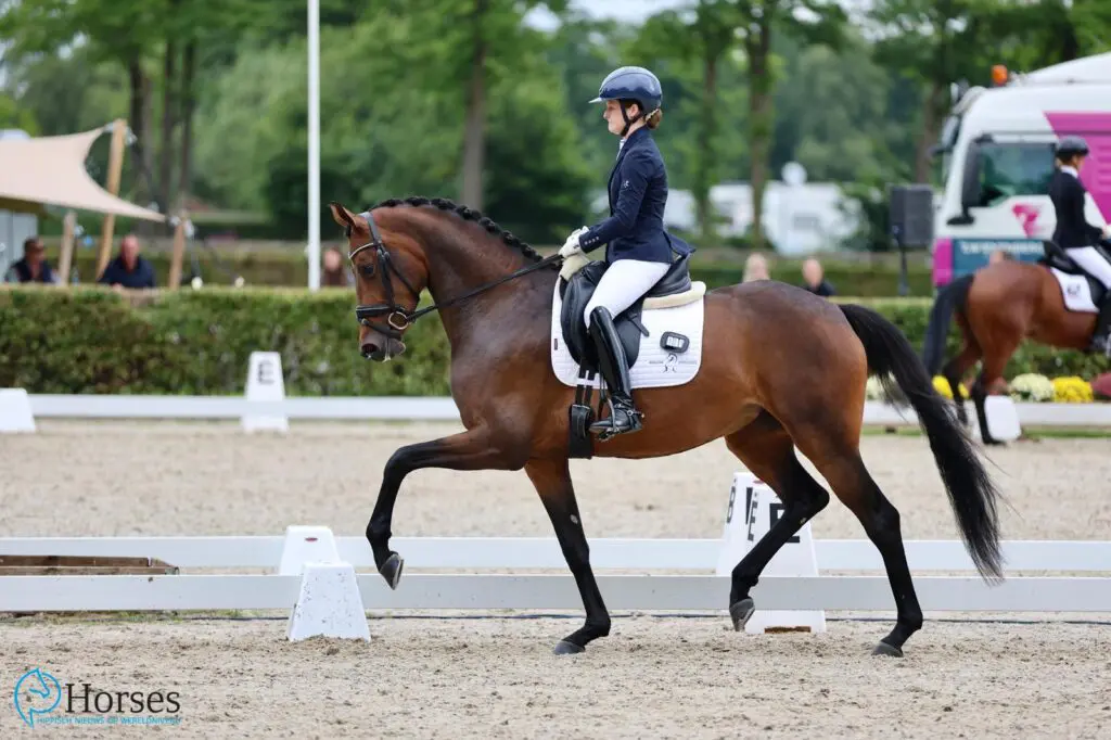 McMary met 91,4 punten hard op weg naar Pavo Cup-zege, geen KWPN-hengst in top-5 featured image