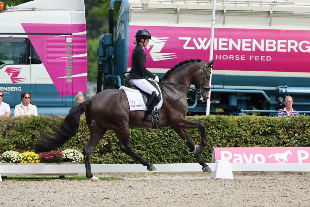 Extreme US op weg naar herovering van Pavo-titel met 88,8 punten featured image