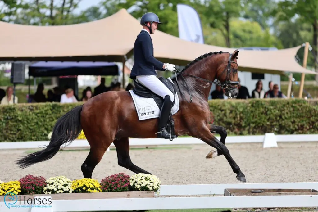 KWPN-hengst O´Toto van de Wimphof via kleine finale naar finale met 83,2 punten featured image