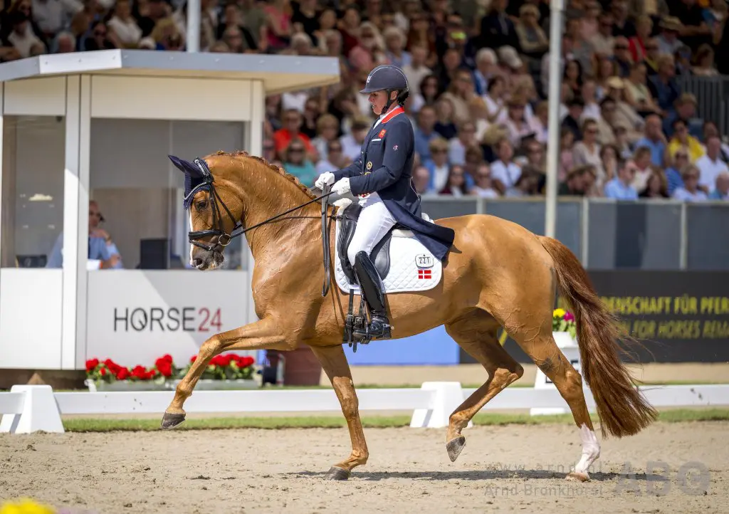 Quinn G. voor de derde keer op rij Wereldkampioen, Most Wanted Nero én Ilegro naar medaille voor TeamNL featured image