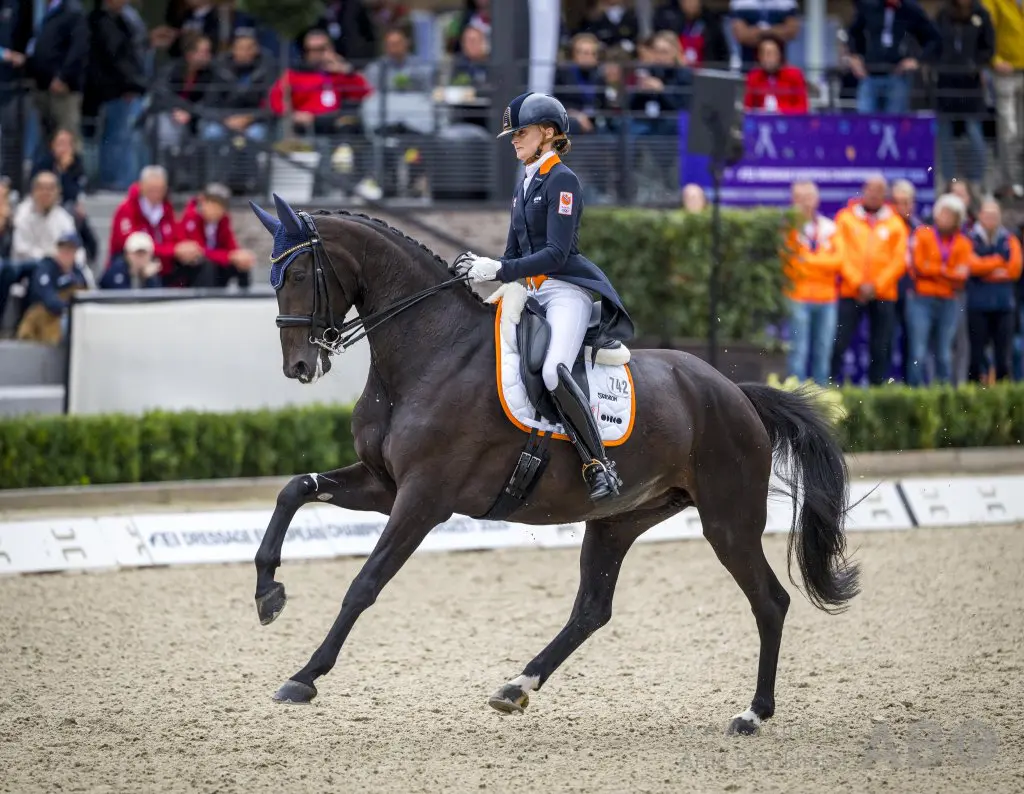 Horses Podcast: Dressuur onderweg naar het WK 2026 featured image