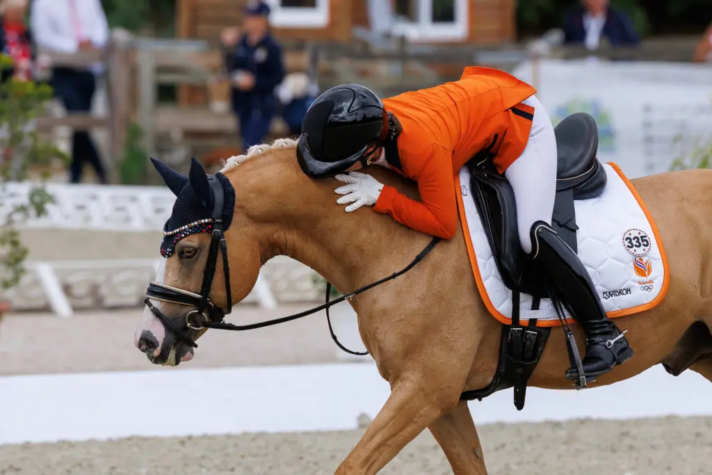 Feline Niessens EK-pony Diamond Blue verkocht naar Denemarken featured image