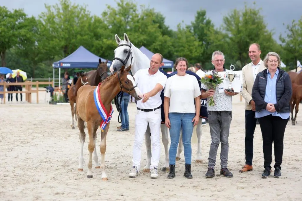 Cero Blue TN-zoon Nationaal Veulenkampioen springen 2025 featured image