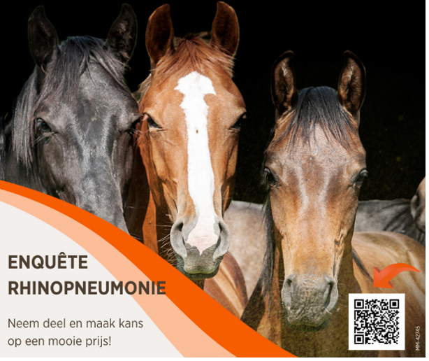 Win één van zes fleecedekens met een korte enquête over rhinopneumonie featured image