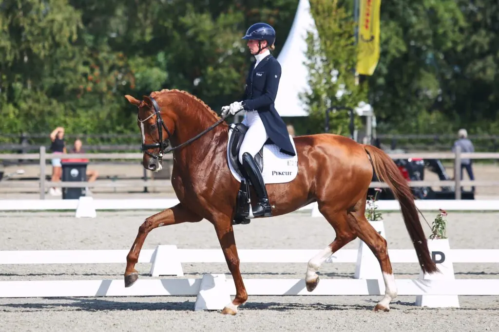 Imke Schellekens scoort met drie paarden, dik PR met Sezuanna: ‘We hebben weer een paar stapjes gemaakt’ featured image