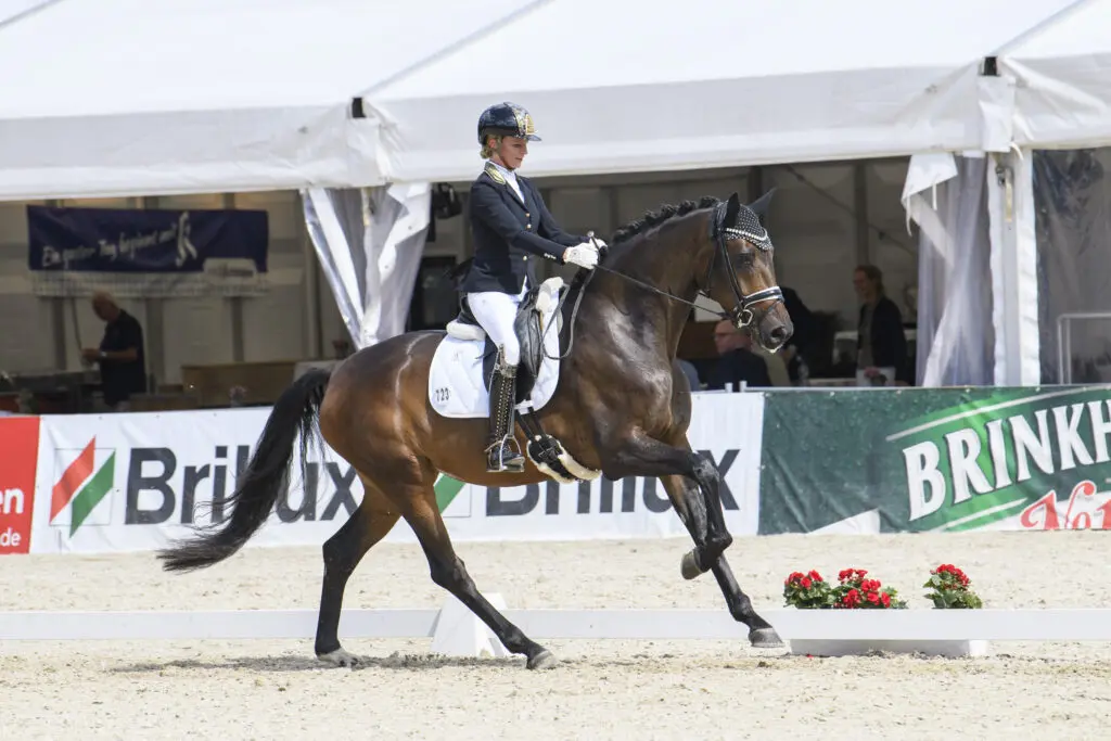 Majestic Taonga-dochter wint Westfalen Wappen featured image