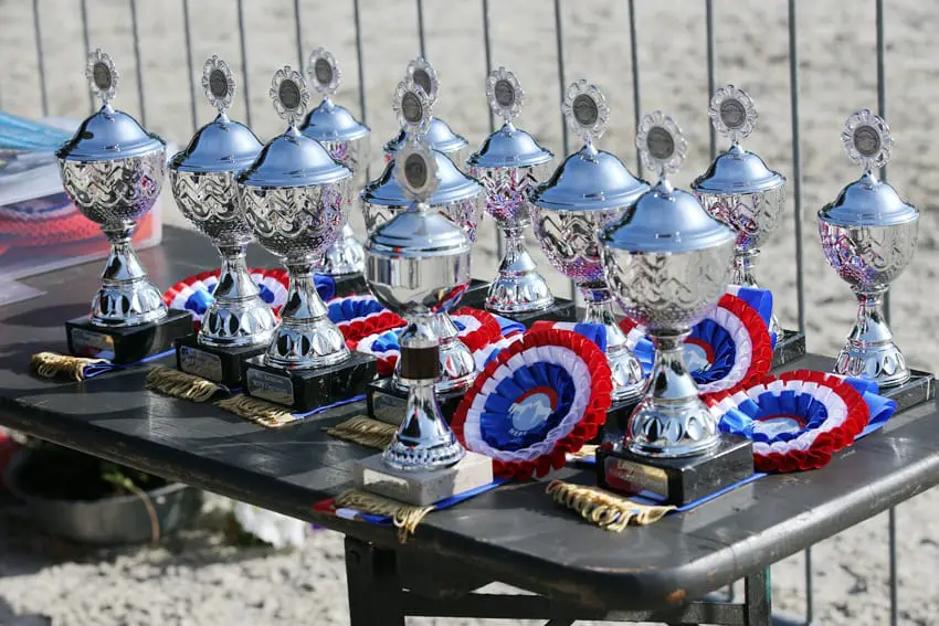 Naber, Okkema, Bekkers en Van Heerwaarden naar fokjuryopleiding NRPS featured image