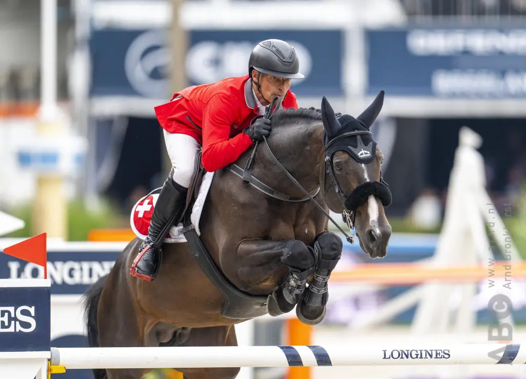 Politieactie bij Pius Schwizer, meerdere paarden in beslag genomen featured image