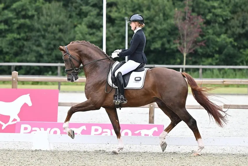 NRPS goedkeuring voor Power Edition KSH featured image