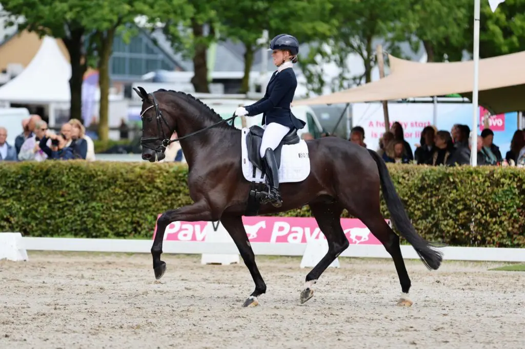 Mascha van Es en Julia Groenhart winnen jonge paardenrubrieken Kronenberg featured image