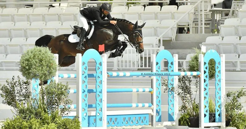 Eerste embryo van Grand Prix-merrie After Eight in StuDutch veiling featured image