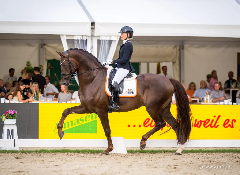Indoor Friesland: Dik 77% voor Dinja van Liere en Red Viper, SLTN wint Team Challenge featured image
