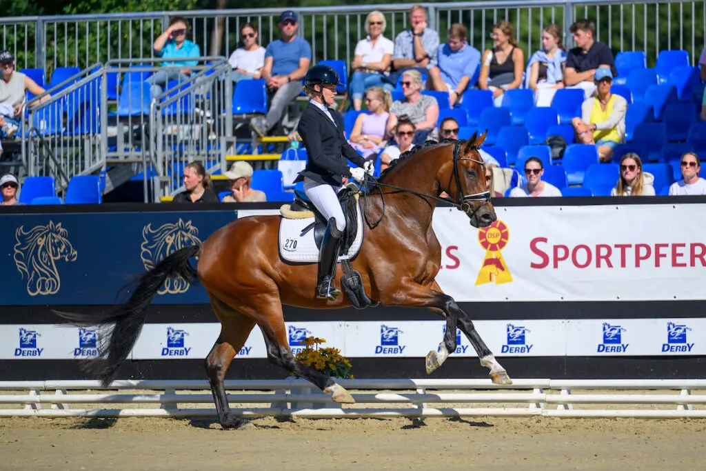 Driejarige Be My Sunshine met de oortjes erop naar Bundestitel met 9,3 gemiddeld featured image