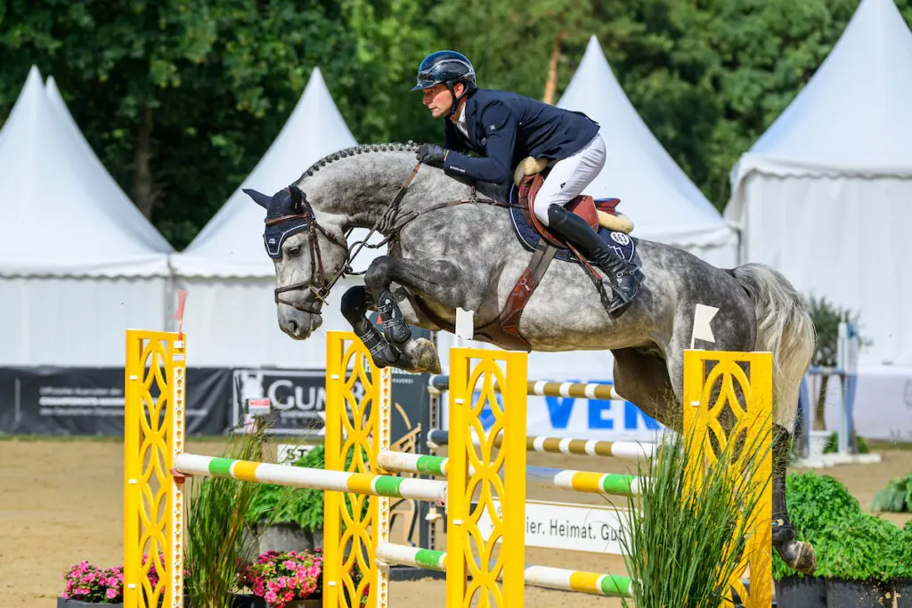 BuCha kwalificatie vijfjarige springpaarden: Lewitz- en weer Vogel & Will-paarden bovenaan featured image