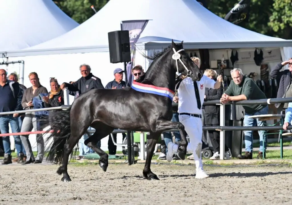 CK-kampioene Vorstin van de Heemstede naar Ted Kop Jansen featured image