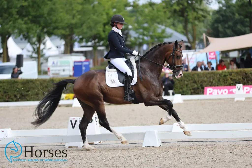 Marijn van Dijk verlaat RS2 Dressage featured image