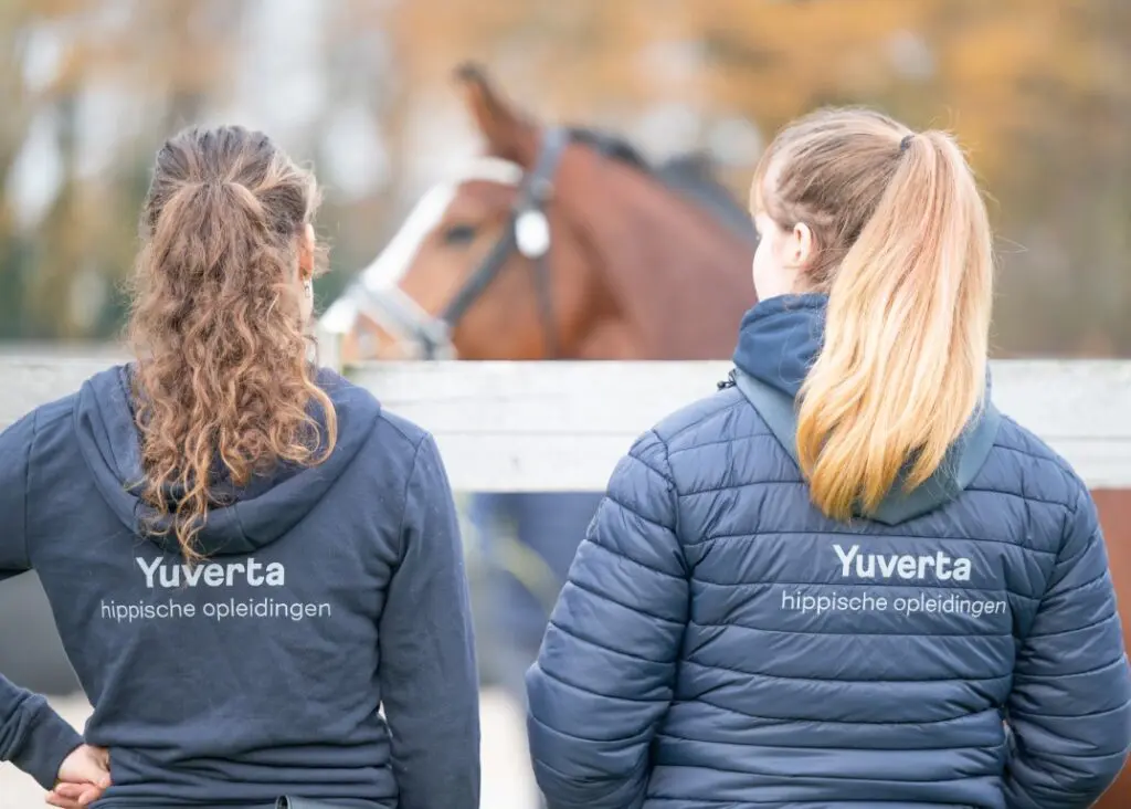 ‘Steeds meer vraag naar goed opgeleide, Engels sprekende mensen’ featured image