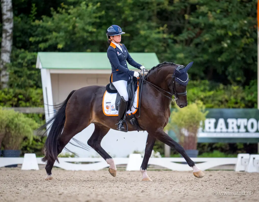 EK Paradressuur: Britney de Jong mist goud op 0,025% na featured image