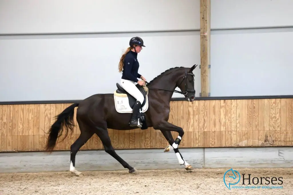 Lantanas-dochter Sivieta S met 83 punten topscoorder EPTM featured image