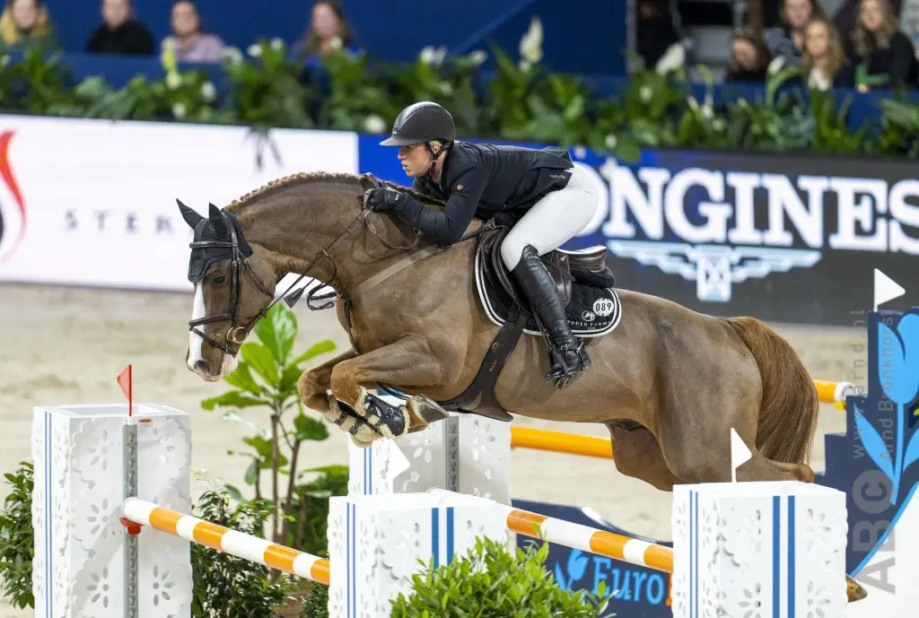 Ruiterwissel voor AES-goedgekeurde hengst Jappeloup featured image