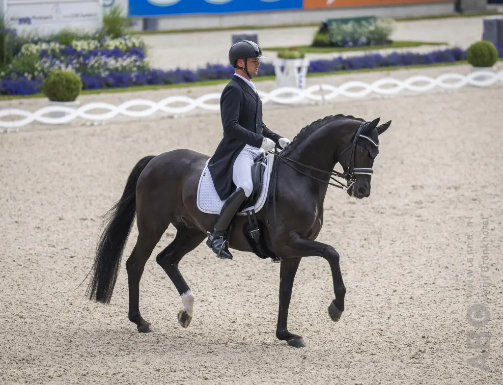 Lehfellners Roberto Carlos positief getest op EK Dressuur featured image