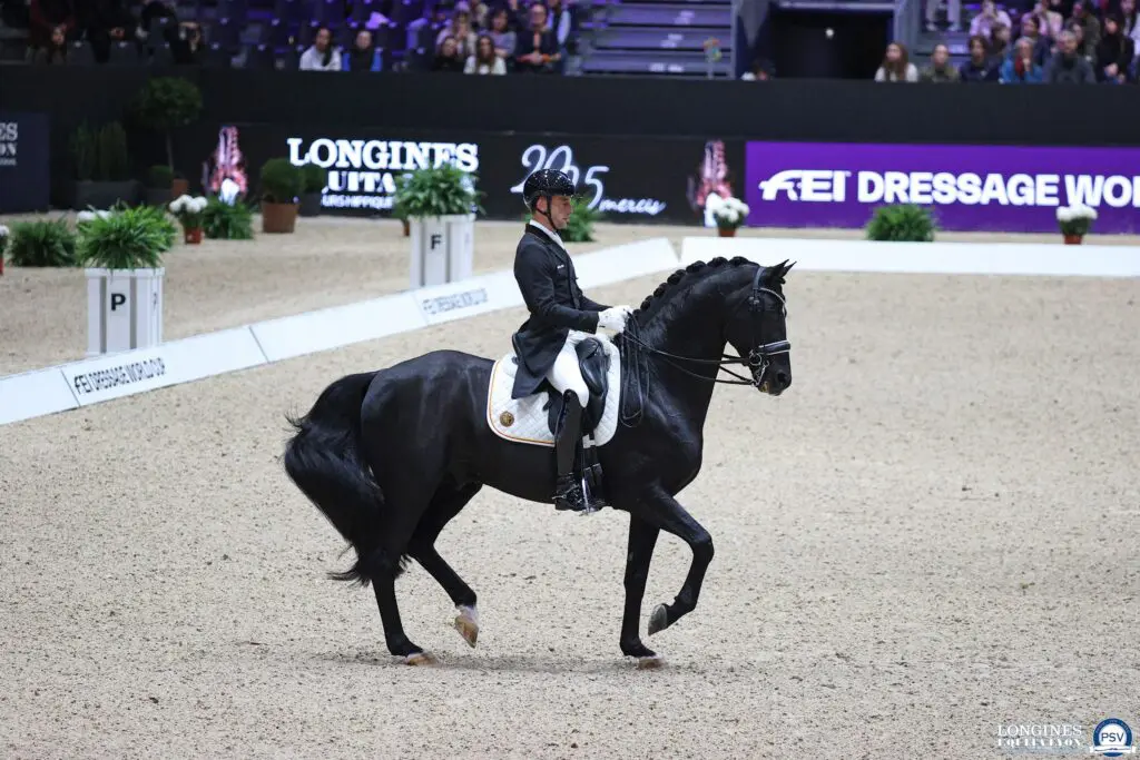 Justin Verboomen en Zonik Plus winnen ook WB-kür in Lyon featured image