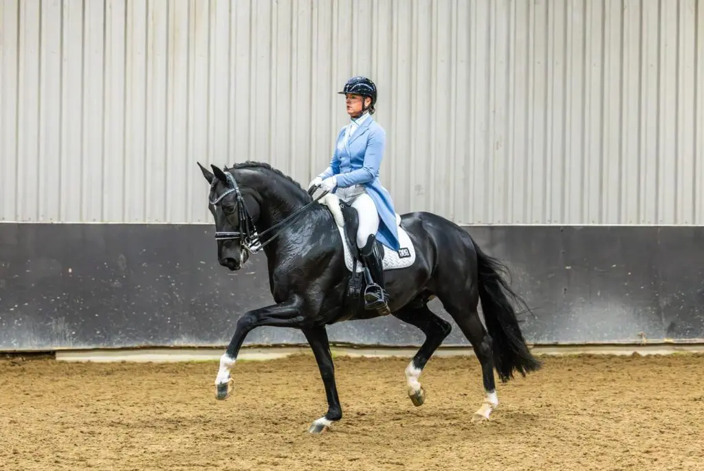 Danielle Heijkoop en Mac Toto USB terug met megascore van dik 77% in de Prix St. Georges featured image