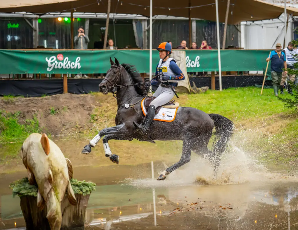 Sterre van Houte wint Nederlands kampioenschap Eventing: ‘Dit resultaat had ik niet verwacht’ featured image