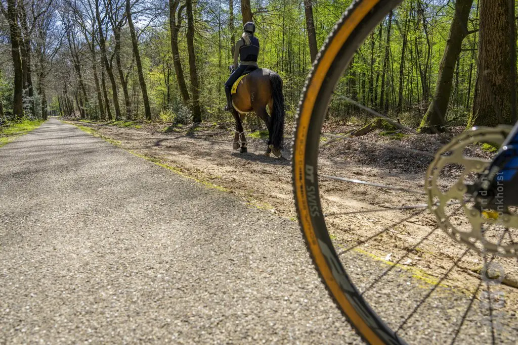 Wielrenner en paard in botsing, persoon zwaargewond featured image
