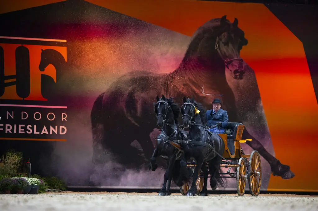 De Friese Avond: Een ode aan cultuur, traditie en majestueuze (Friese) Tuigpaarden featured image