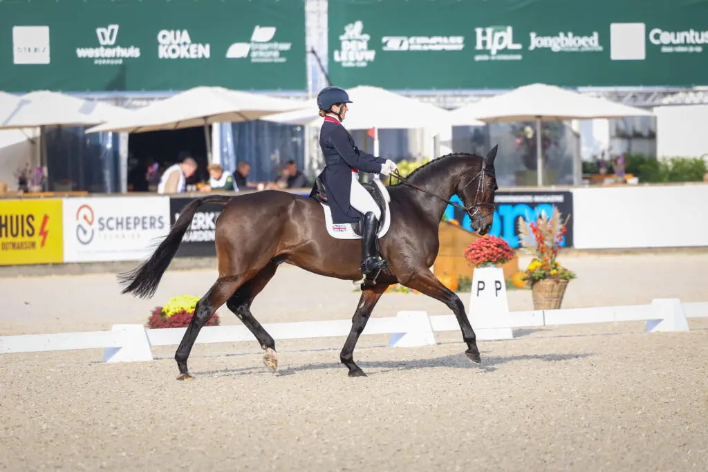 Military Boekelo: Laura Collett bovenaan na dressuur featured image