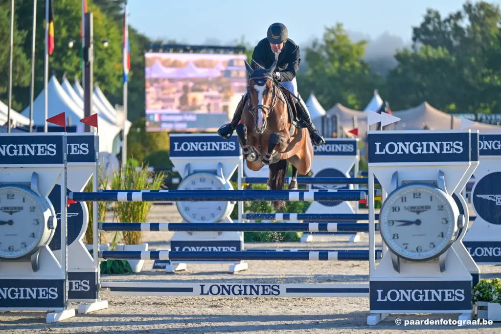 WK-ster Ollalla schittert in Youhorse.auction met 100.000 euro featured image