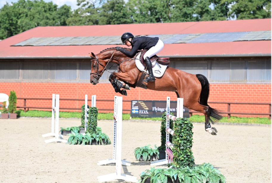 305.000 euro voor Chacoon’s Love PS in Flyinge Open Sales featured image