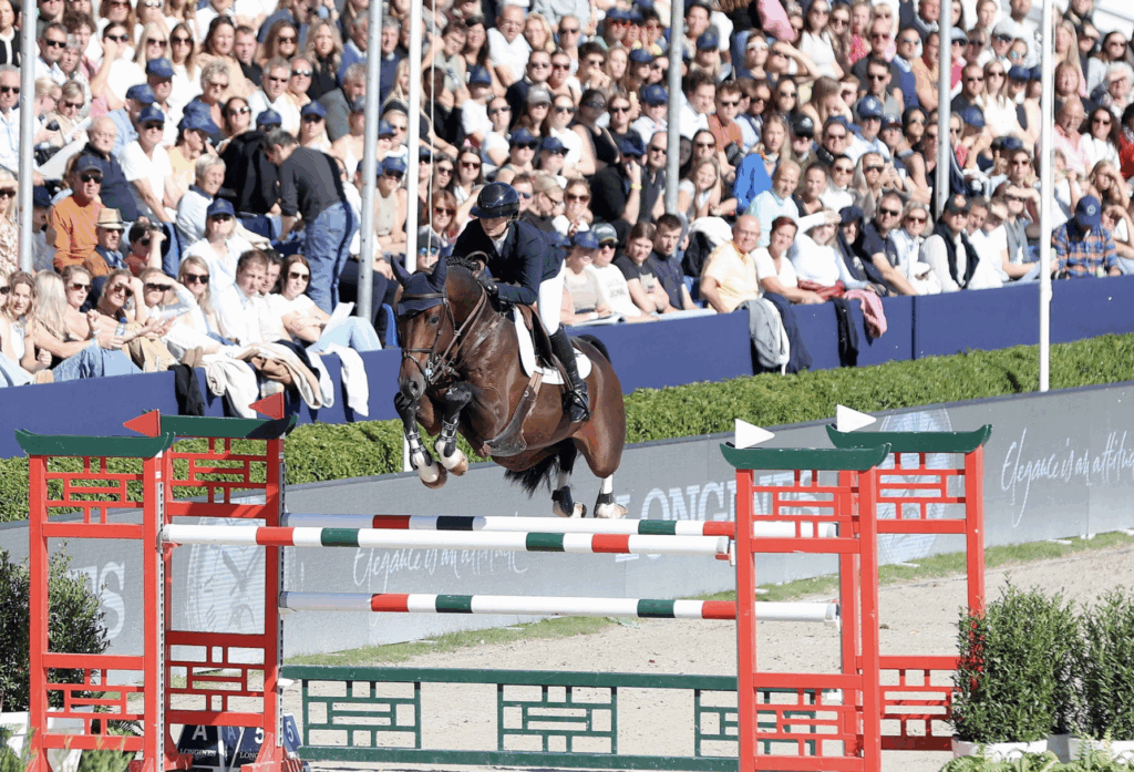 Spoor terug Oreo Brownie H: ‘Met deze kan iedereen over 1,60m.’ featured image