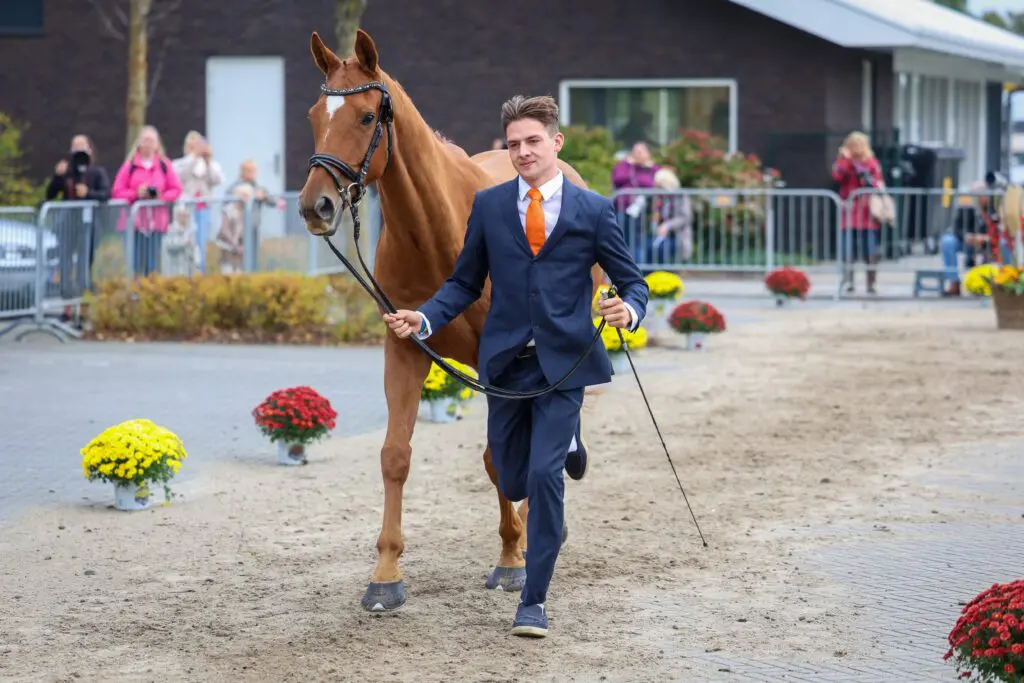 Military Boekelo: Alle paarden goed door de vetcheck featured image