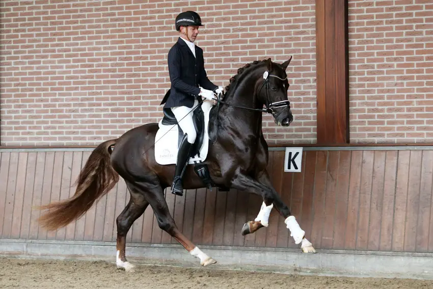 Siffredi, N’Sparcatus en Vintagio kunnen instromen in NRPS Verrichtingsonderzoek featured image